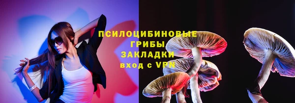 спиды Алексин