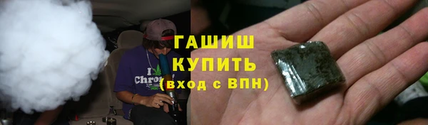 apvp Алзамай