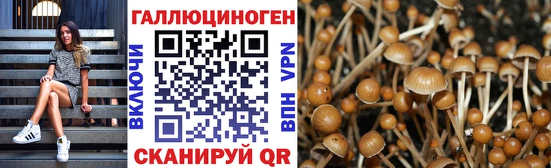 как найти   Добрянка  Псилоцибиновые грибы Psilocybe 